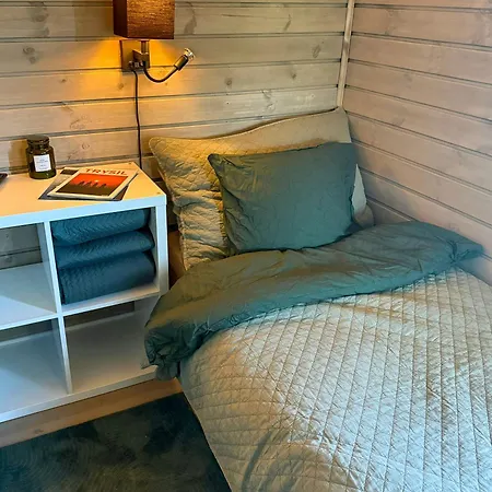 Mountain With Sauna Atop Fagerasen Holiday home Trysil