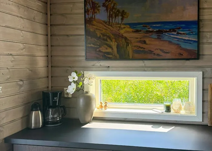 Mountain With Sauna Atop Fagerasen Semesterbostad Trysil